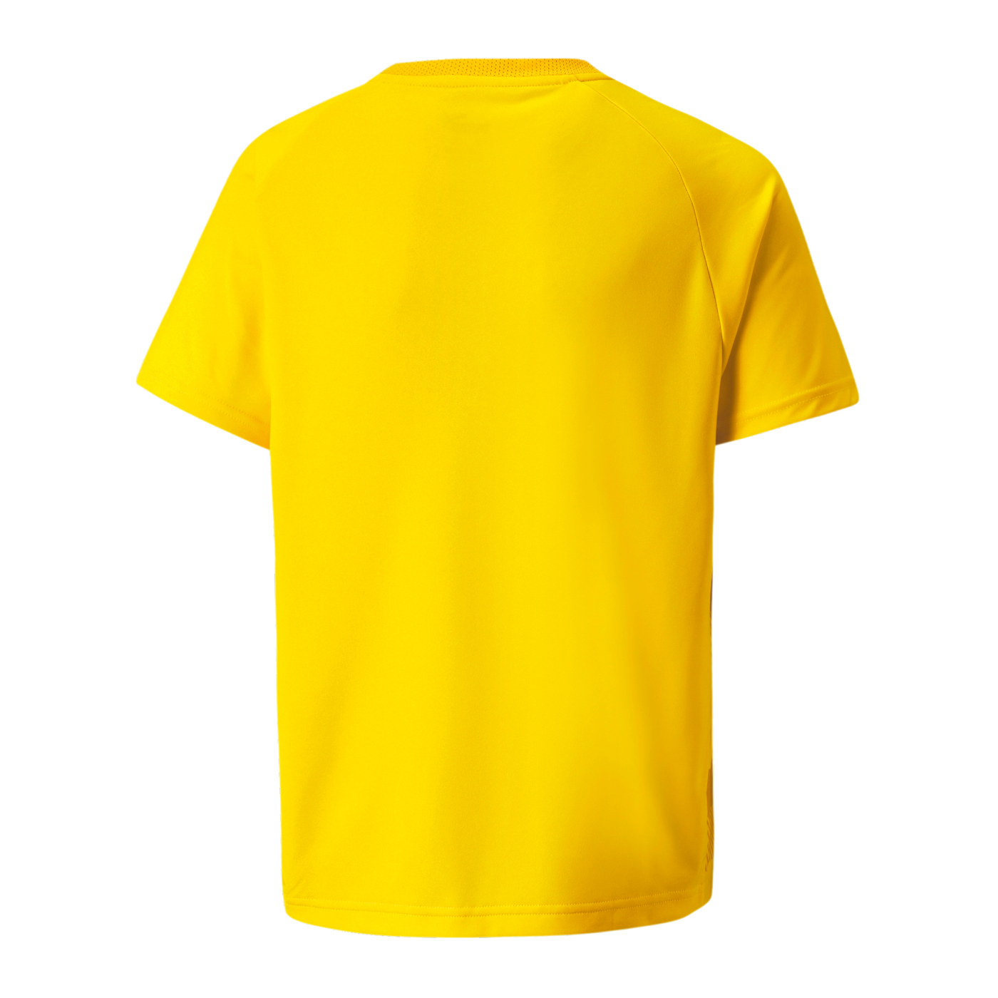 PUMA teamVISION Trikot Kids Gelb F07