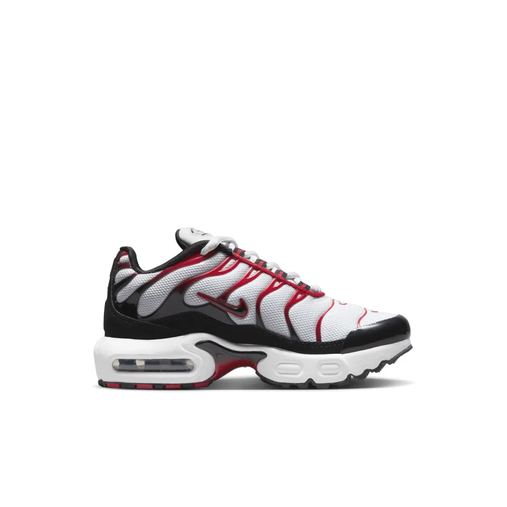 Nike Air Max Plus CD0610-027 / grau