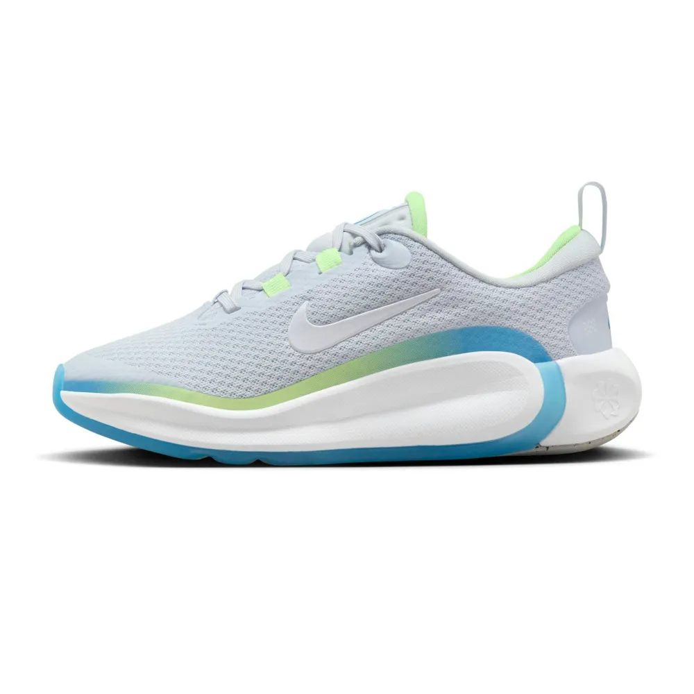 Nike Infinity Flow FD6058-001 / grau