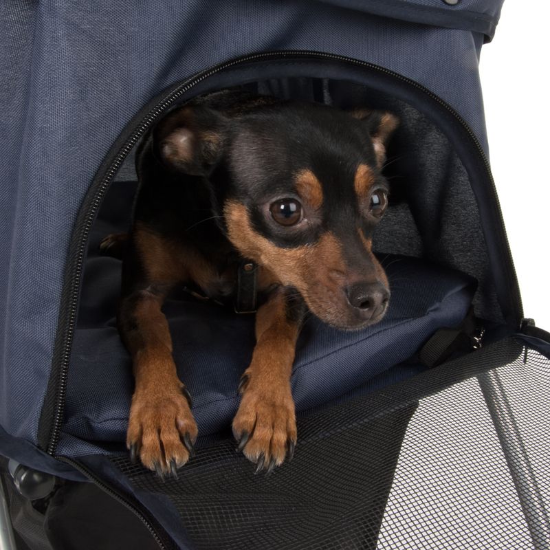 Sporty Pet Stroller für kleine Hunde online kaufen