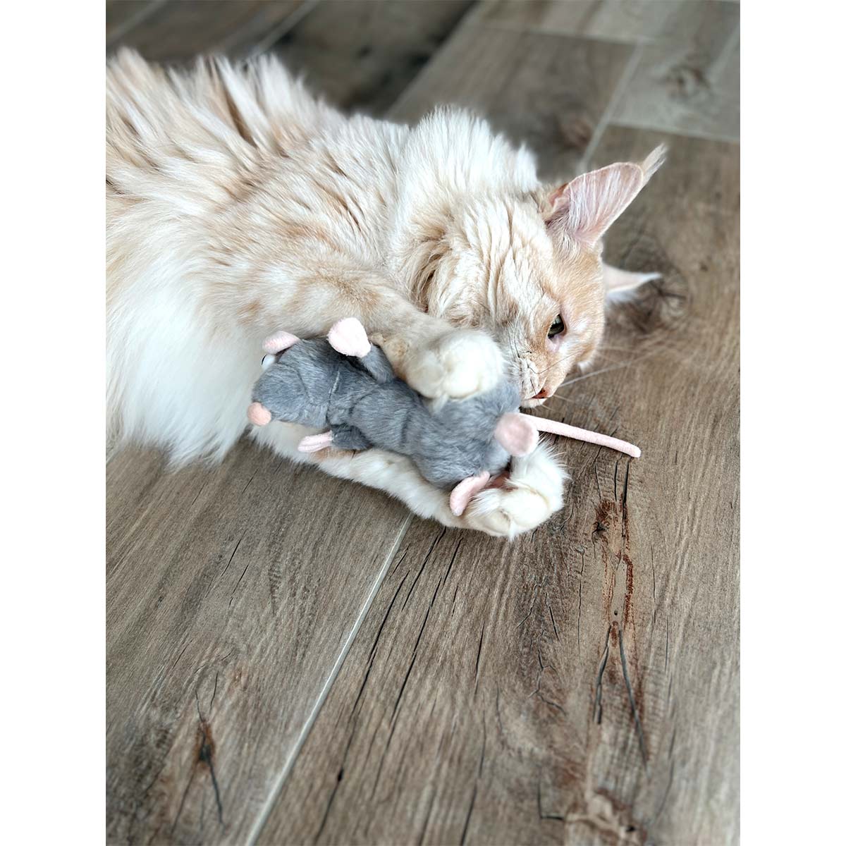 Aumüller Katzenspielkissen Ratte Cedric kaufen