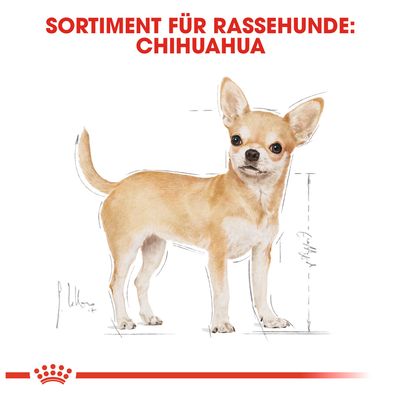 Royal Canin Chihuahua Adult