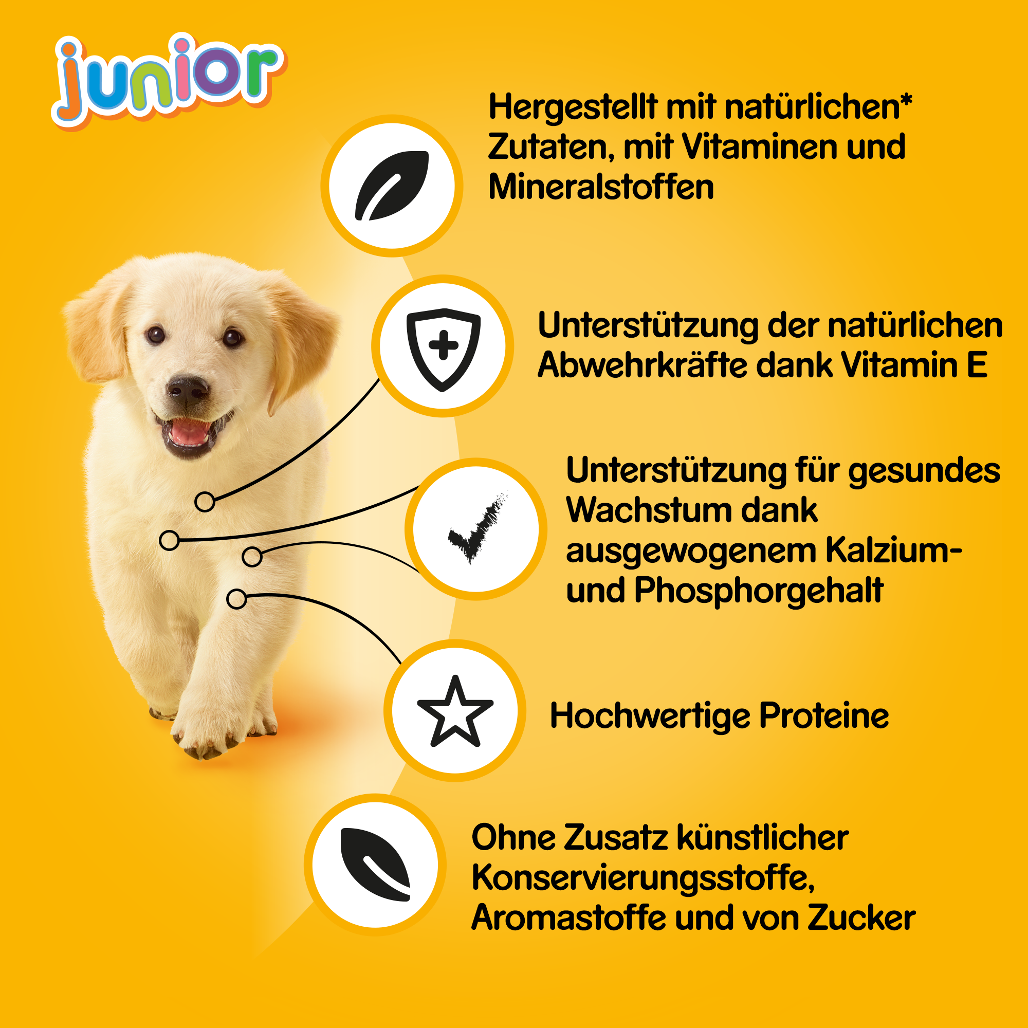 Pedigree Hundenassfutter Pedigree Junior 12x400g