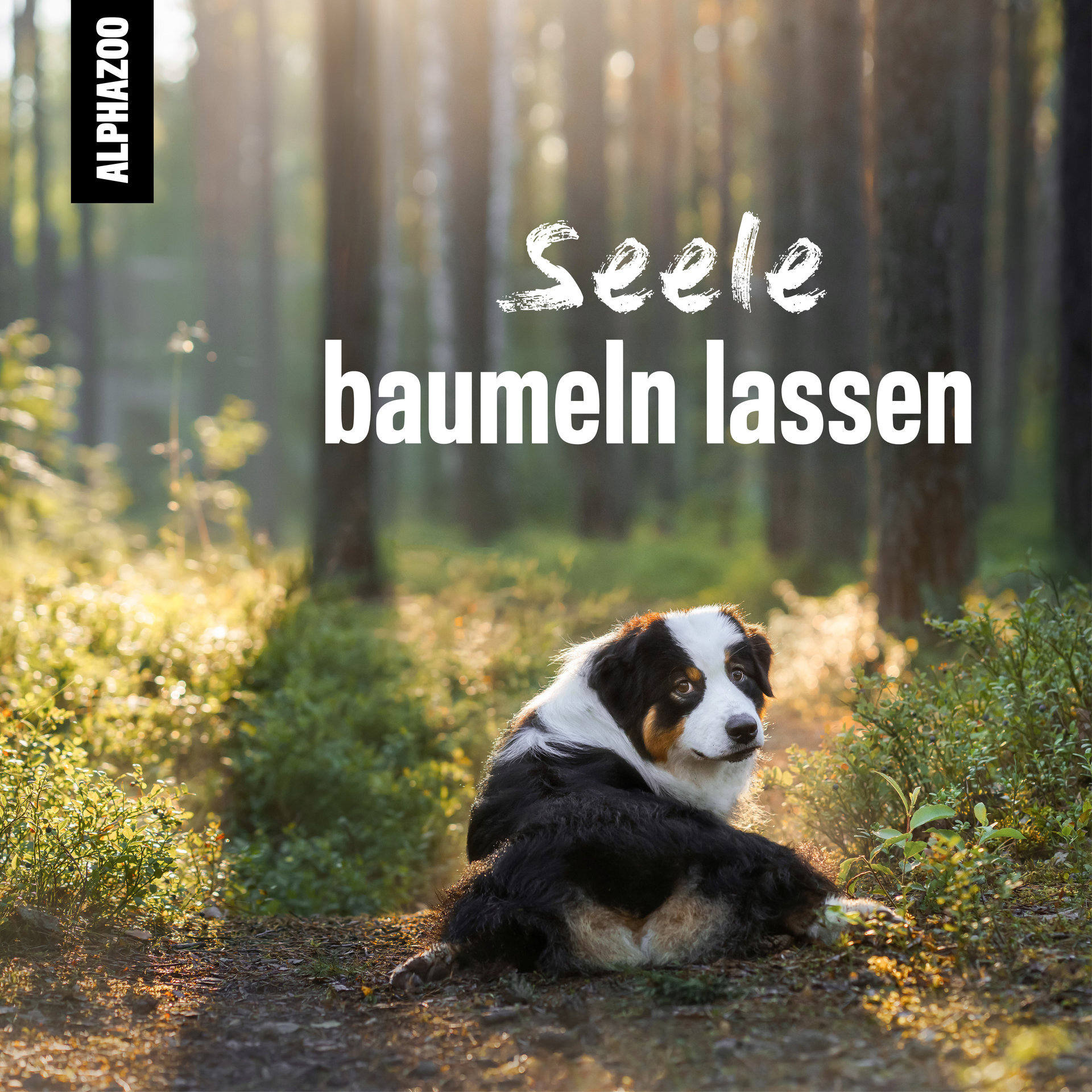 ALPHAZOO Ergänzungsfutter & Aufzucht ALPHAZOO Seelenruhe Futteröl für Hunde und Katzen 500 ml