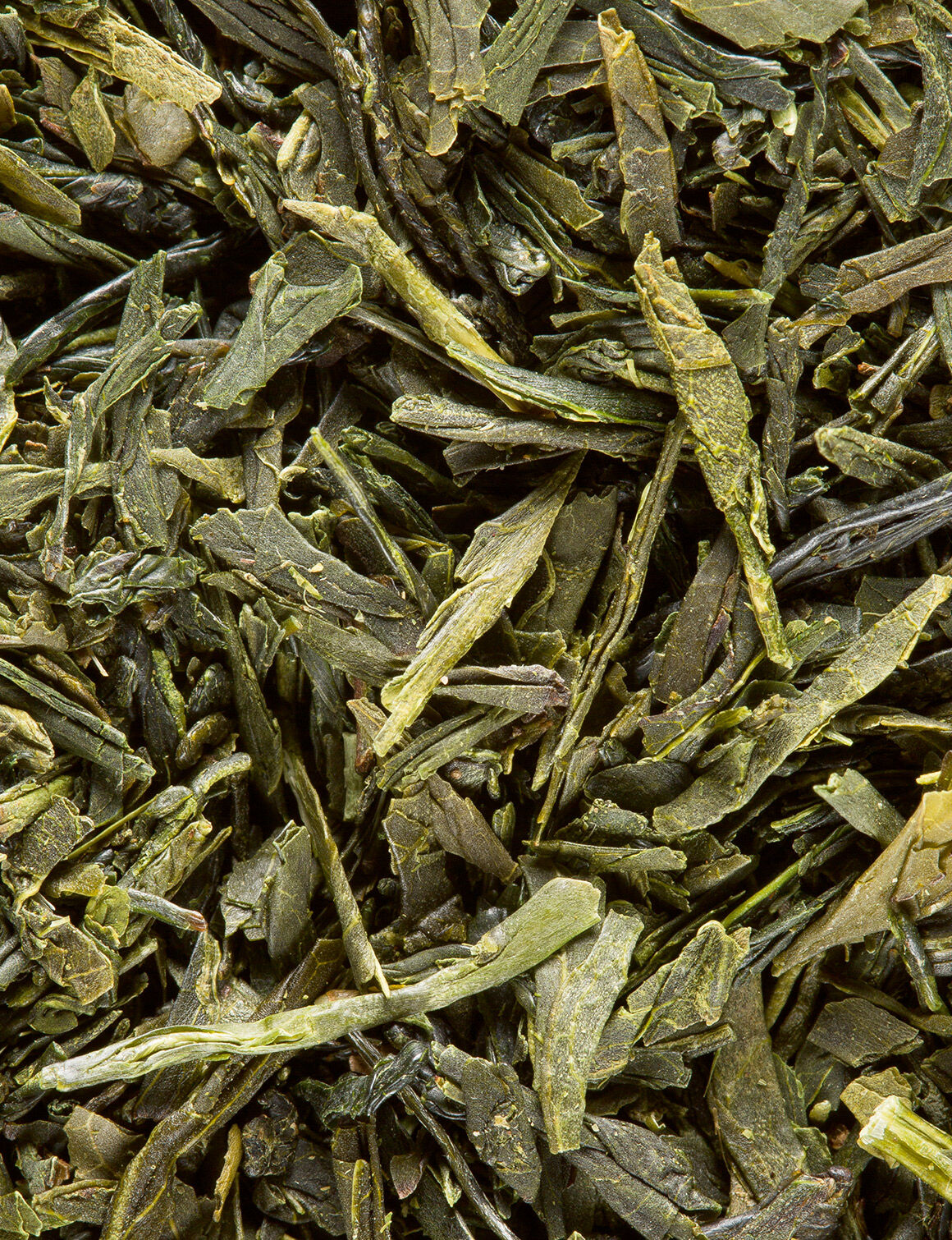 Sencha Fukuyu-24 sachets enveloppés