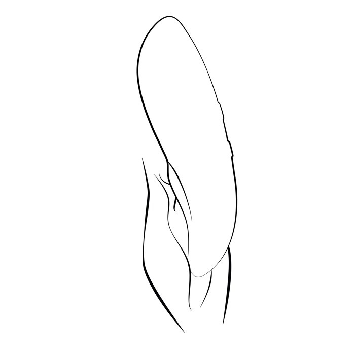 Touch X Korall