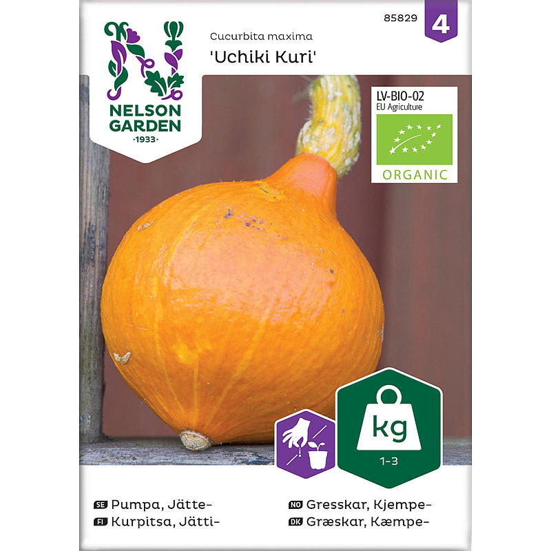 Nelson garden Frø Gresskar Kjempe-, Uchiki Kuri, organic