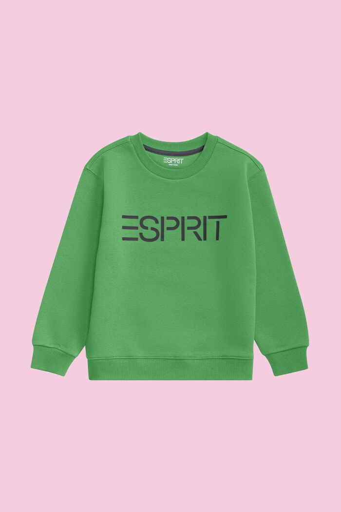 Logo-Sweatshirt mit Rundhalsausschnitt