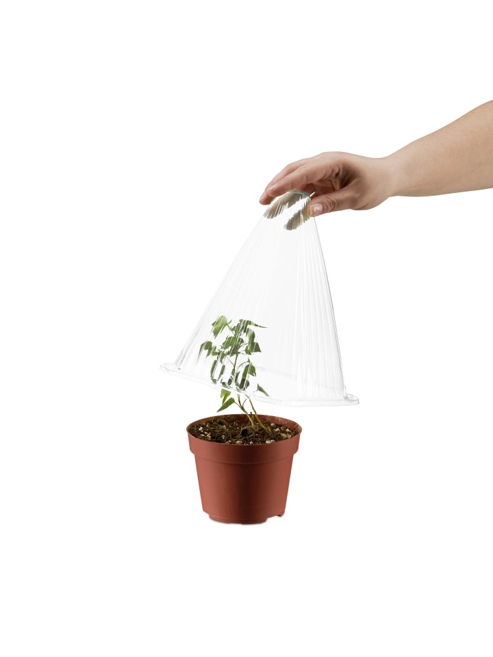 relaxdays 10 x Pflanzenhut in Transparent - (B)19 x (H)22 x (T)19 cm günstig kaufen onesize