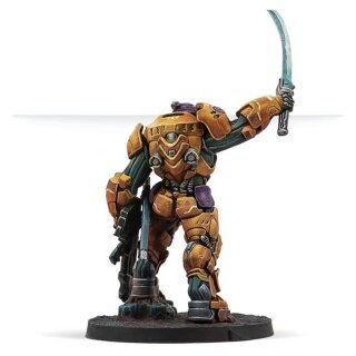 Reinforcement: Haetae Unit (HMG)