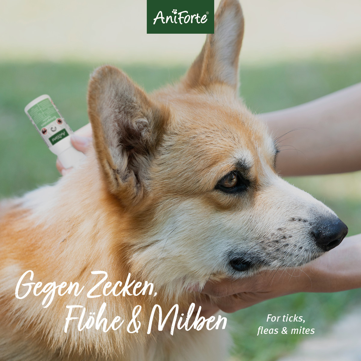 Aniforte Floh- & Zeckenmittel Aniforte Spot-on für Hunde Ectoprotex