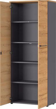GERMANIA Aktenschrank GW-Agenda Mehrzweckschrank, Maße 80x40x197 cm, Made in Germany