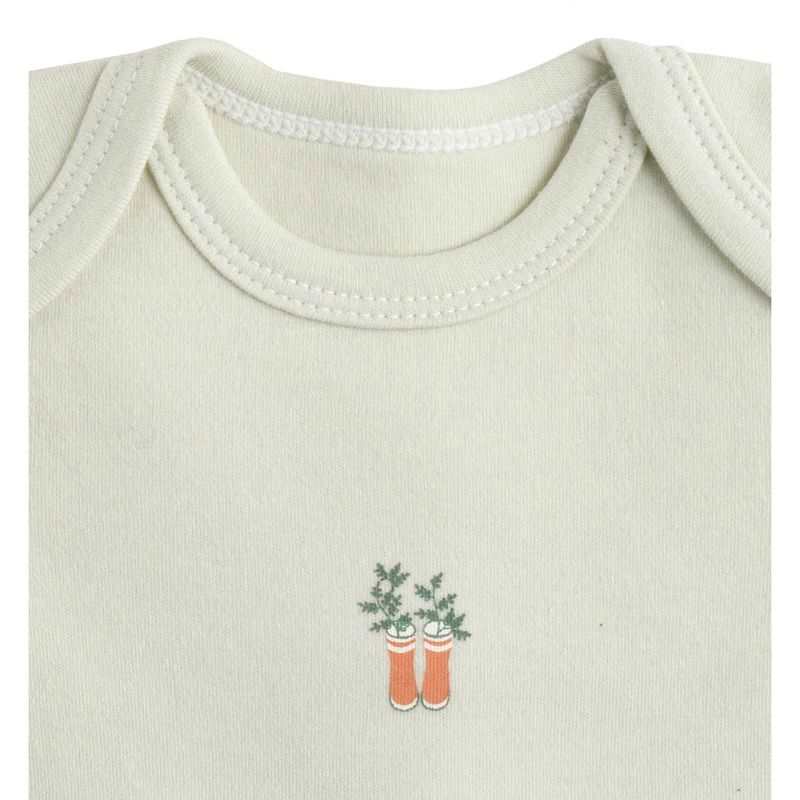 Lot de 3 bodies manches courtes Botanica