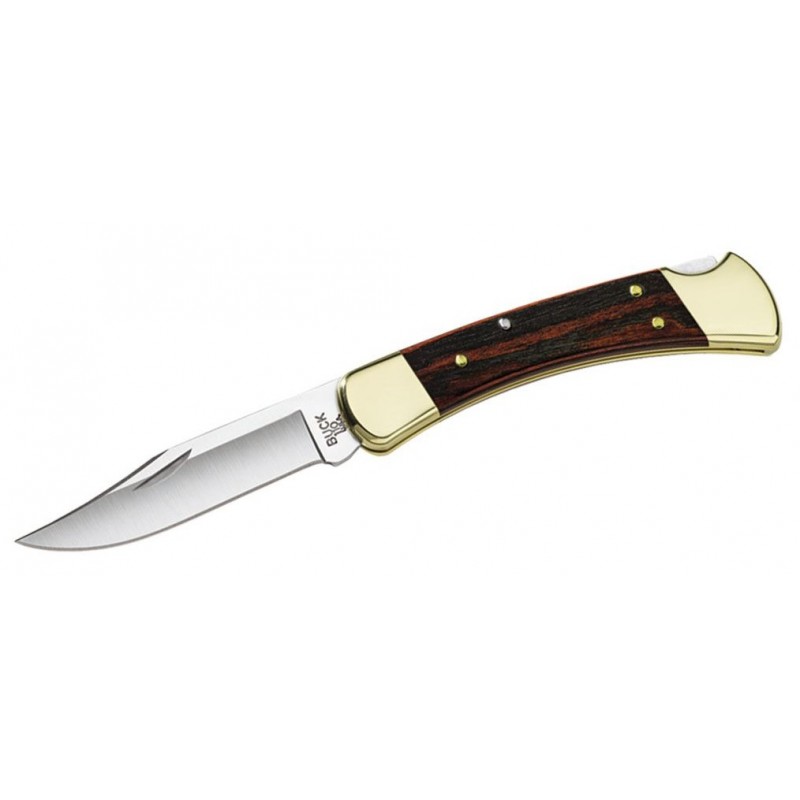 Coltello Buck 110 Brs Folding Hunter, coltello da caccia (hunting knife).