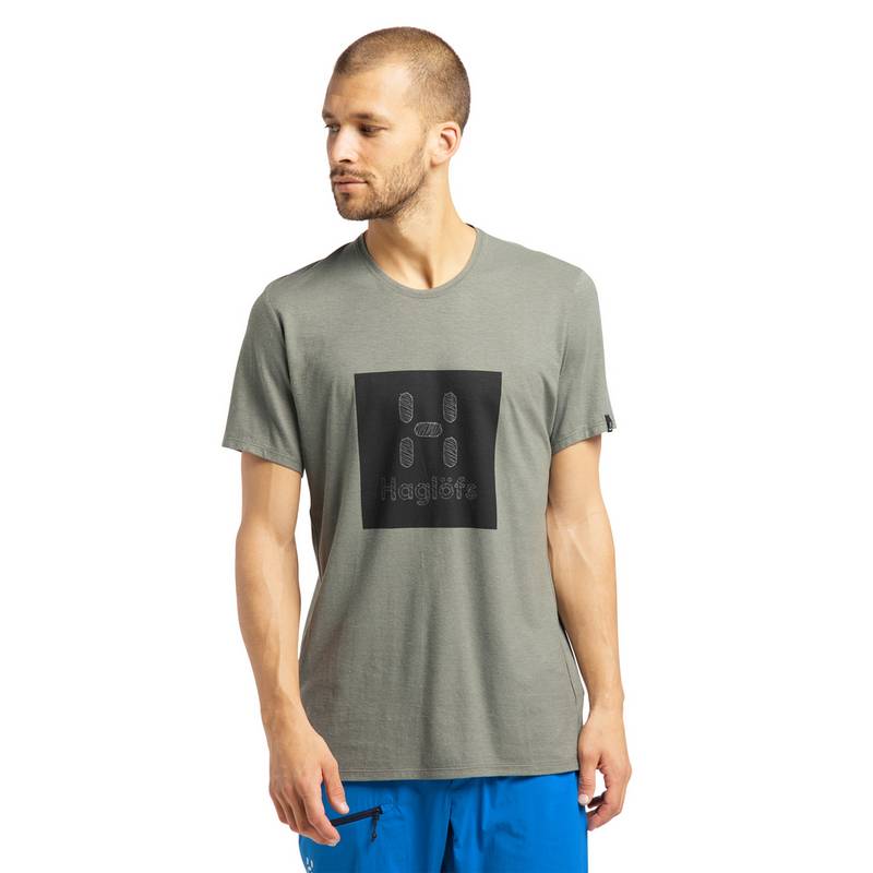 Haglfs Trd Tee Print Funktionsshirt Herren
