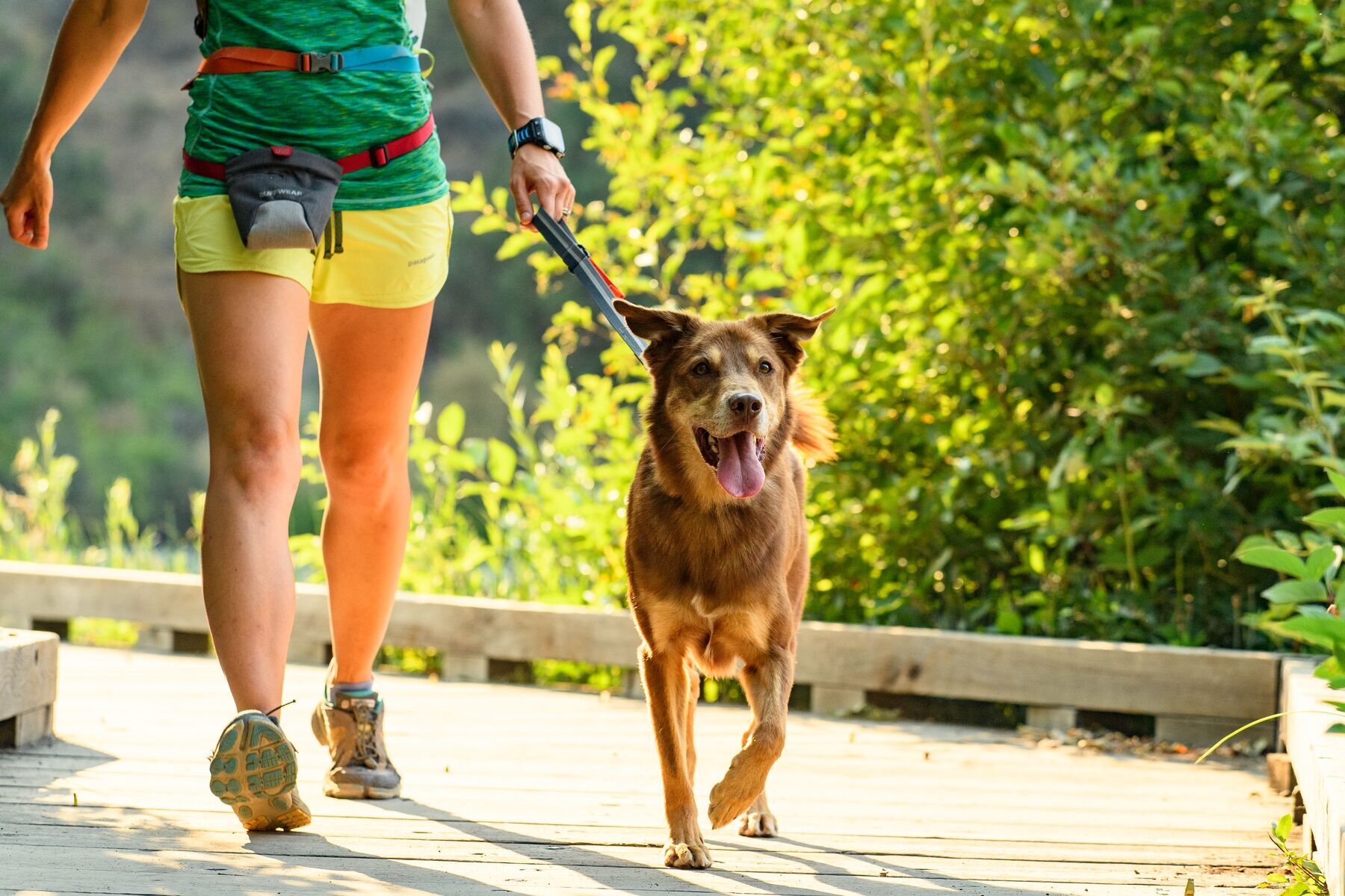 Ruffwear Hundeleinen Ruffwear Quick Draw™ Leine