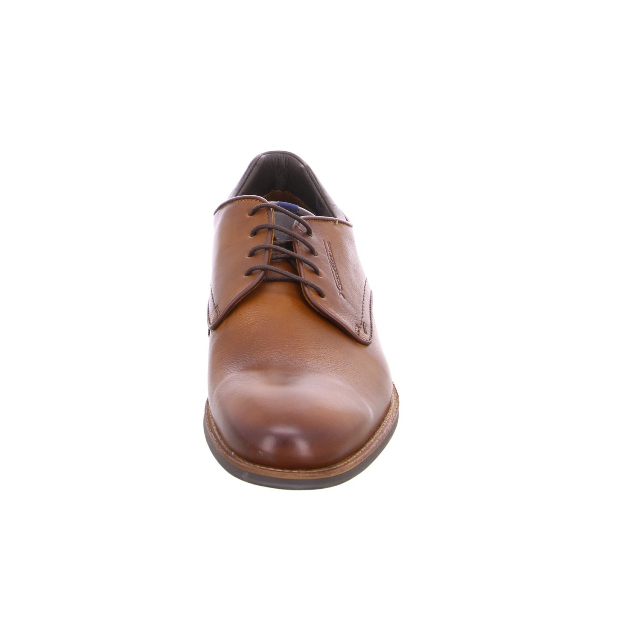 LLOYD Business Schuhe braun MASSIMO whisky