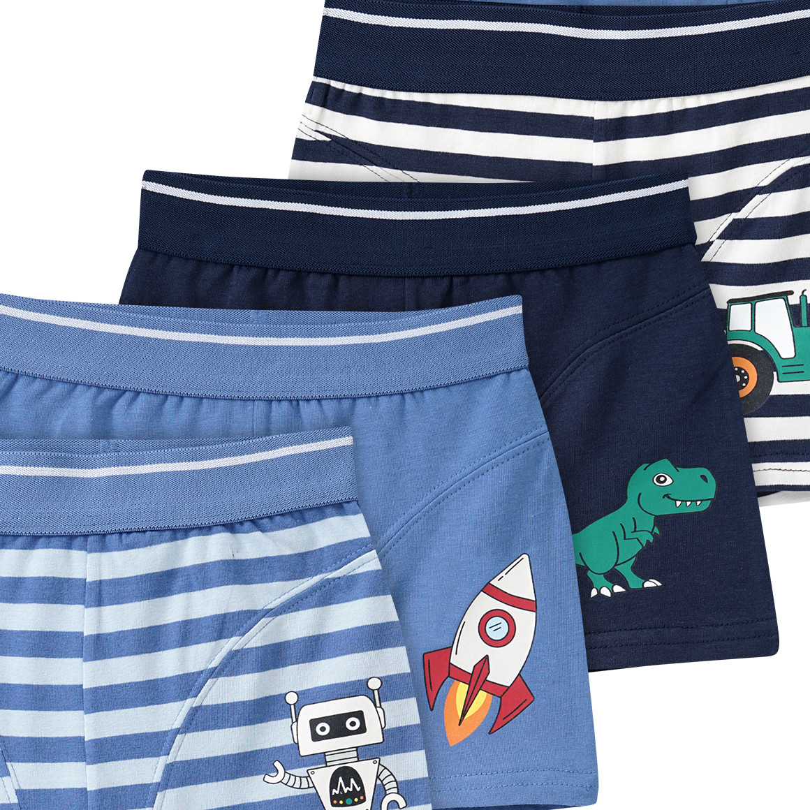 5 Jungen Boxer in verschiedenen Dessins