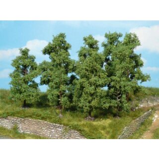 Obstbäume 9-11 cm (4 Stk.)