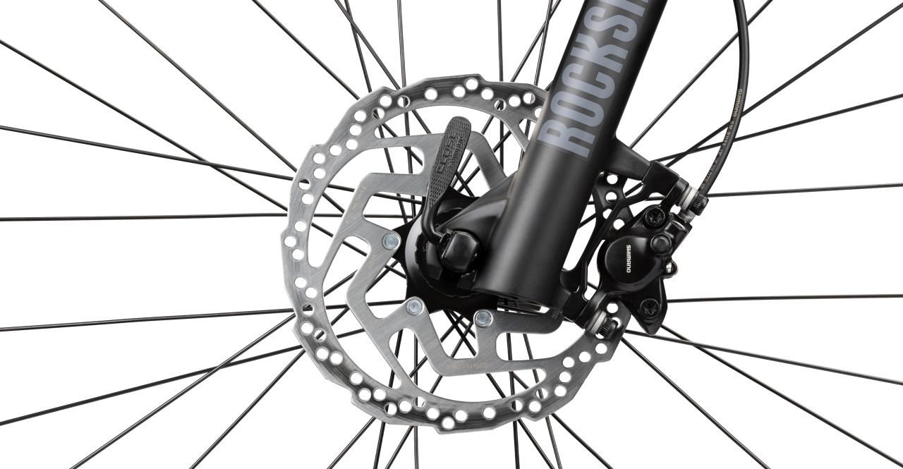 Radon ZR Team 6.0 kaufen | Bike-Discount