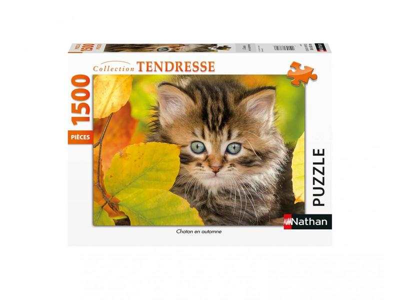 Puzzle 1500 pièces Chaton en automne