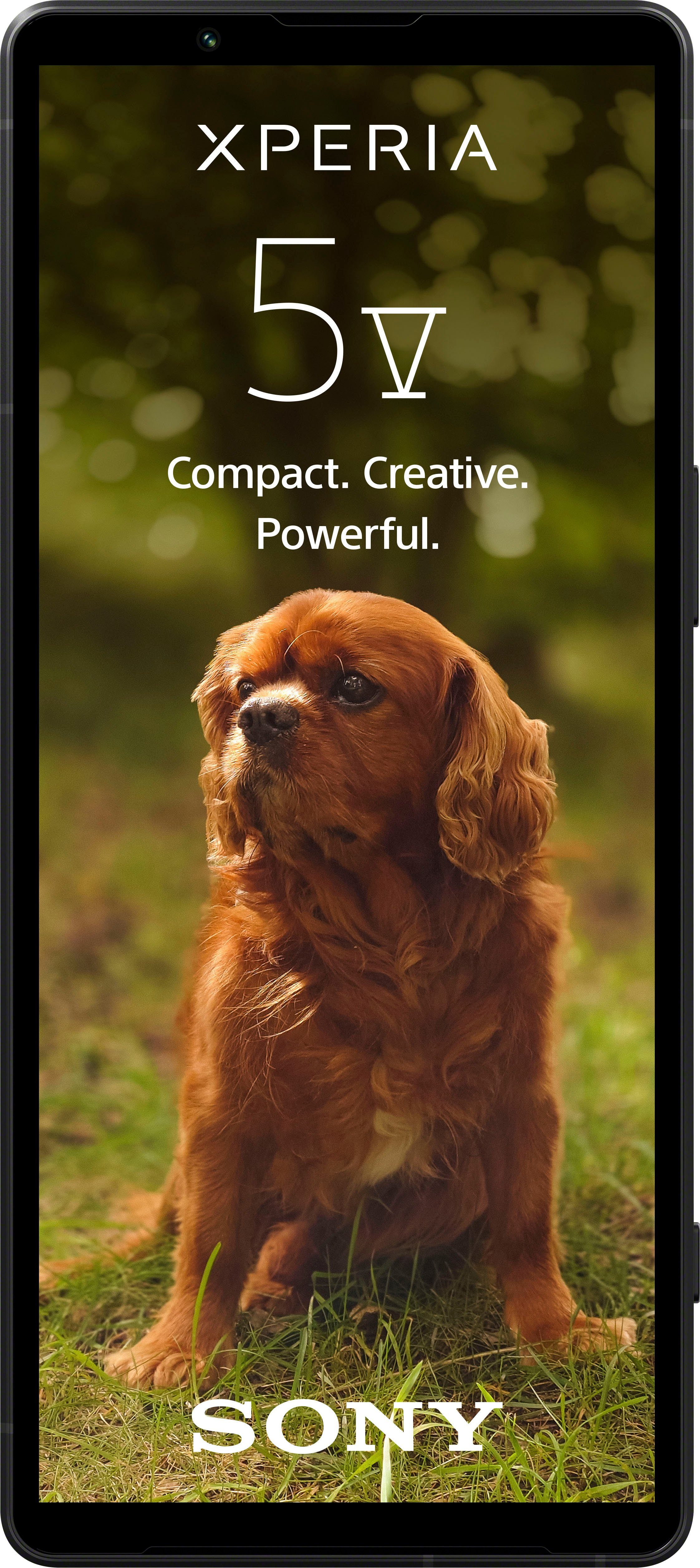 Sony XPERIA 5V Smartphone (15,49 cm/6,1 Zoll, 128 GB Speicherplatz, 12 MP Kamera)