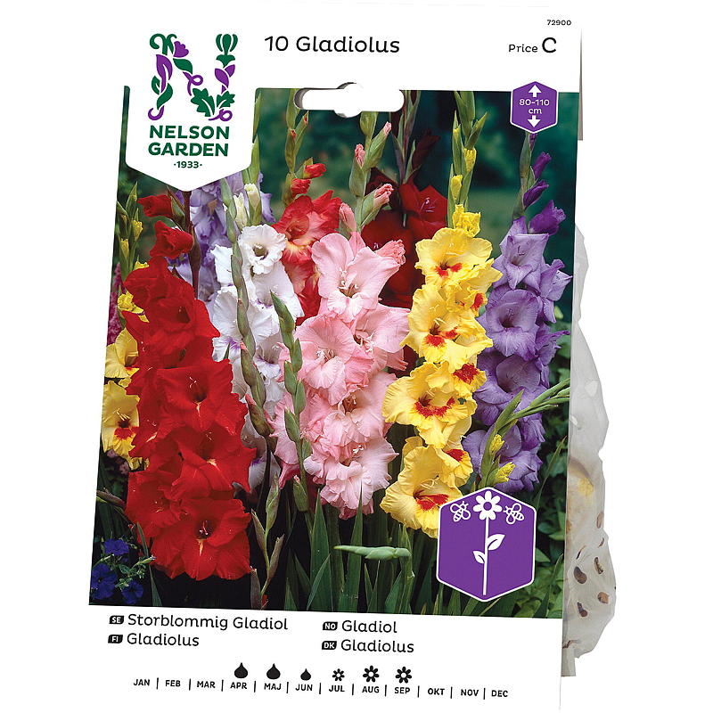 Nelson garden Gladiol Storbl. blandede farger