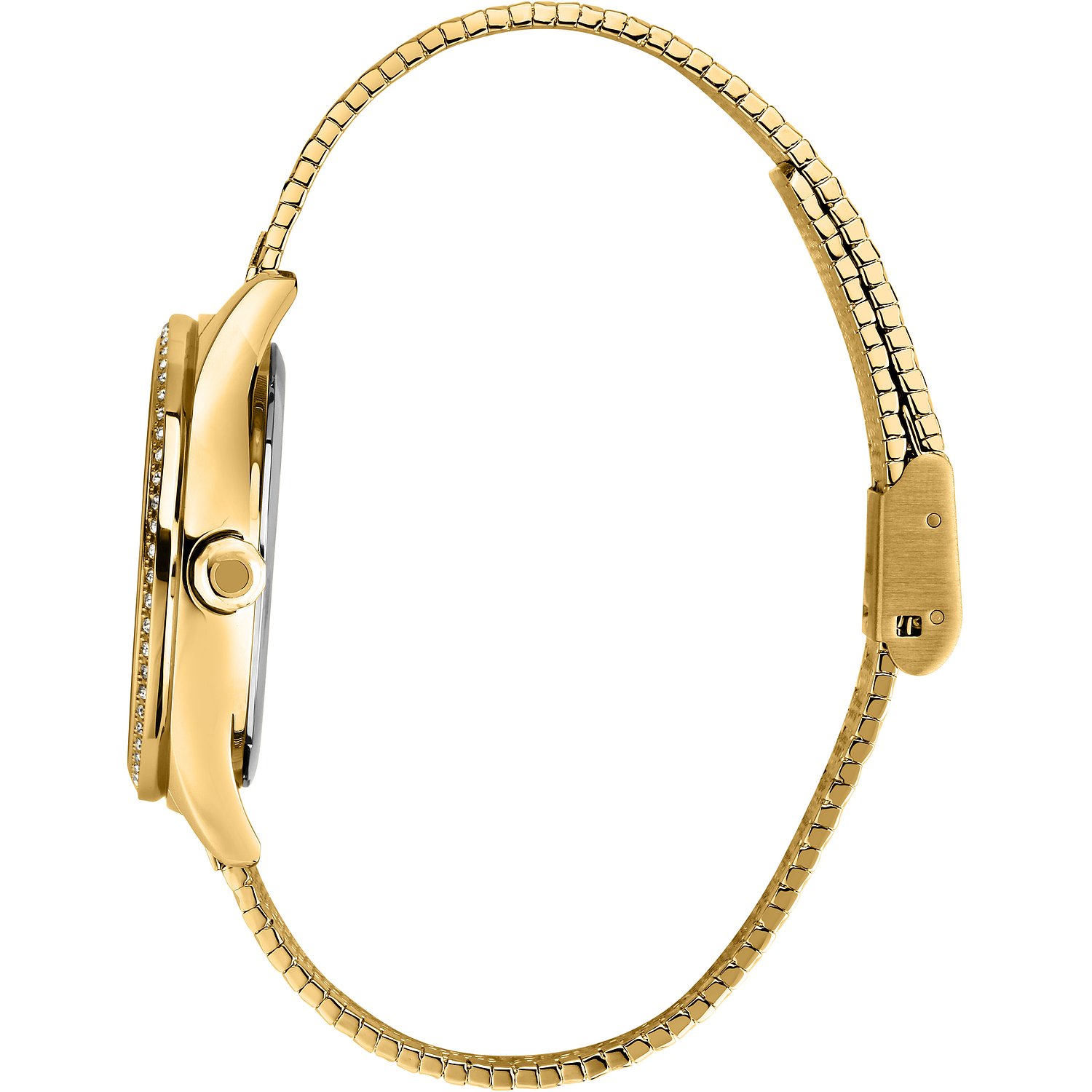 Hodinky Trussardi