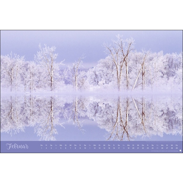 ZAUBERWÄLDER EDITION KALENDER 2024. WANDKALENDER XL - Kalender