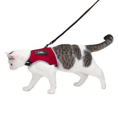Trixie Katzengeschirr XCat mit Sticker und Leine