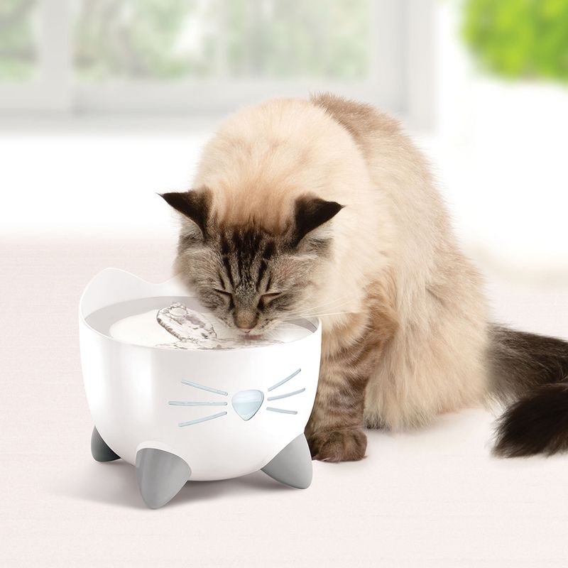 Catit PIXI Trinkbrunnen - Edelstahl zu TOP-Preisen