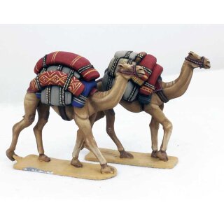 Baggage Camels