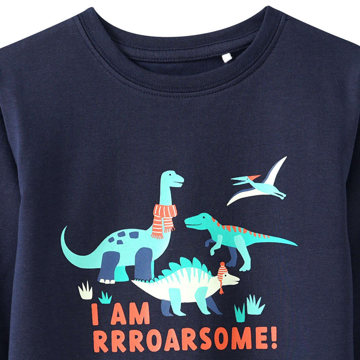 Kinder Langarmshirt mit Dinosaurier-Print