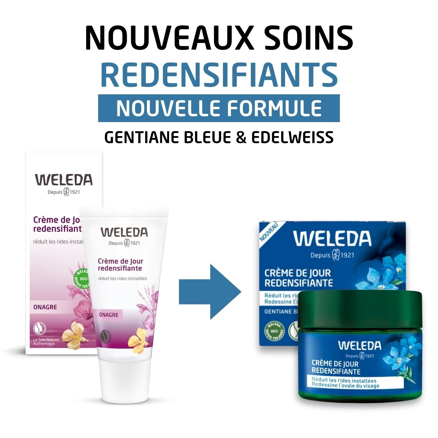 Weleda Redensifying Day Cream med blå gentiana og edelweiss - 40 ml