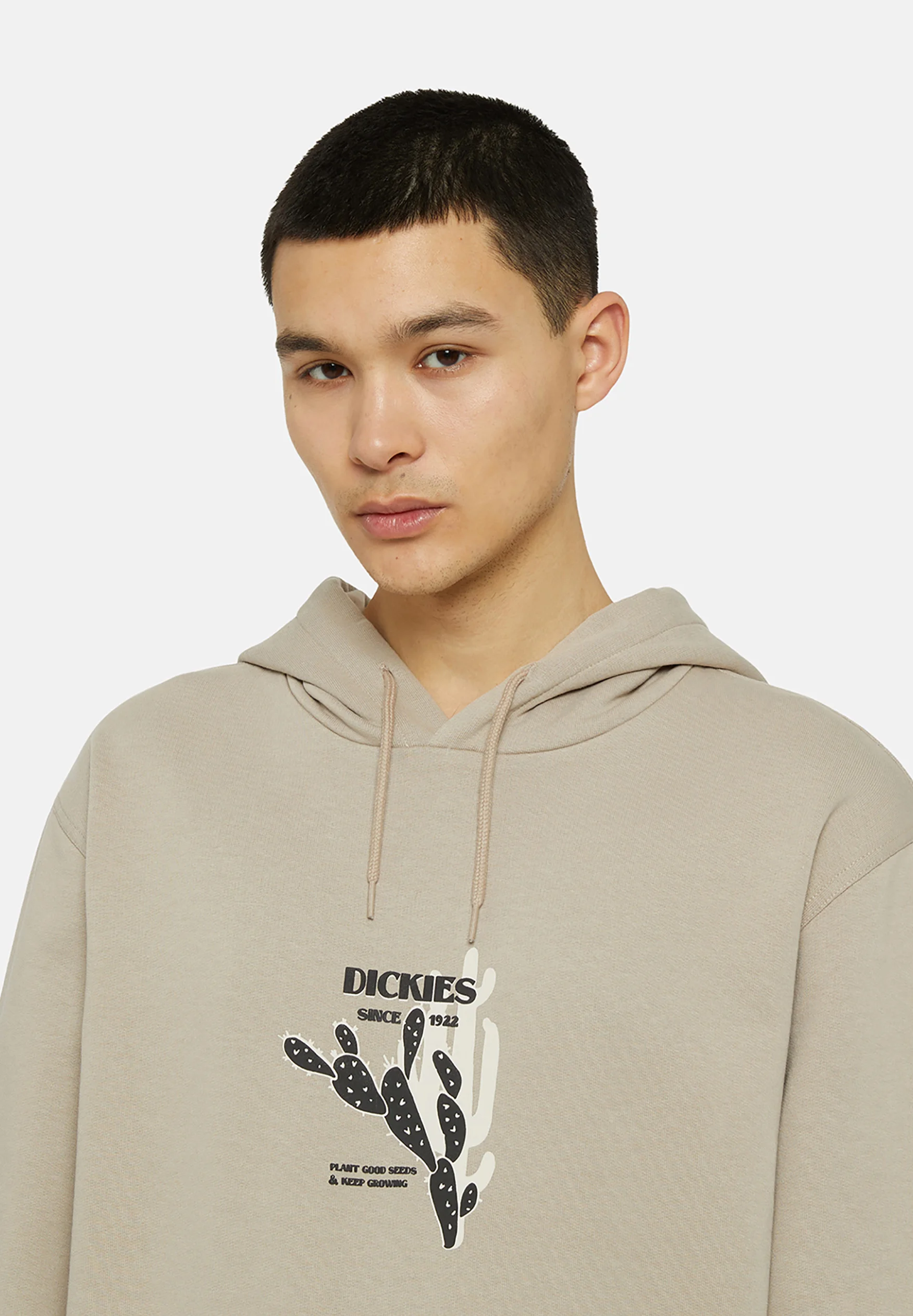 Dickies HERNDON - Sudadera con capucha