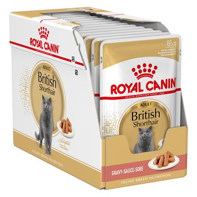 Royal Canin British Shorthair Adult in Soße