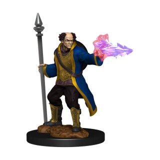 D&D Nolzur's Marvelous Miniatures - Multiclass Cleric & Wizard Male