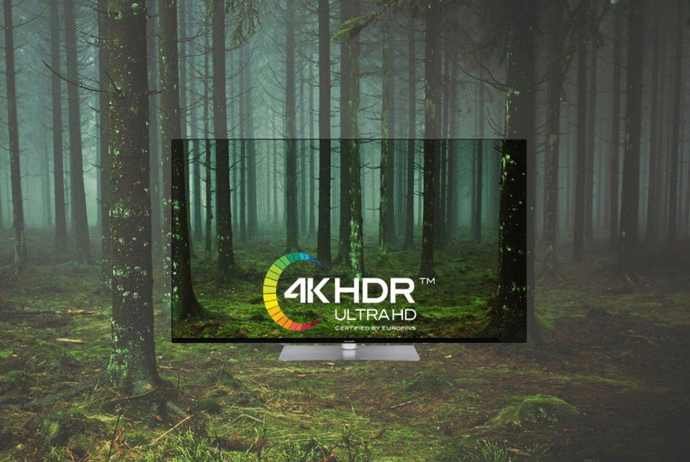 Hanseatic 65U800UDS LED-Fernseher (164 cm/65 Zoll, 4K Ultra HD, Android TV, Smart-TV)
