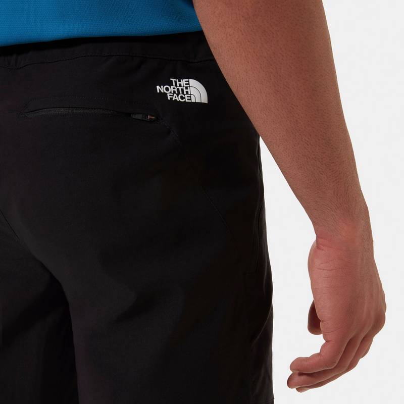 The North Face LIGHTNING Funktionsshorts Herren
