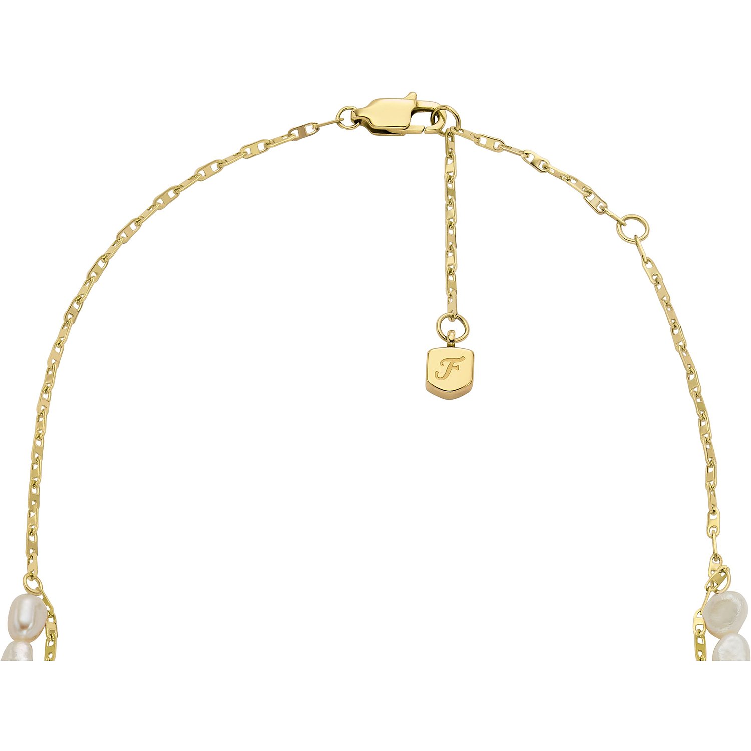 Fosilijų grandinės