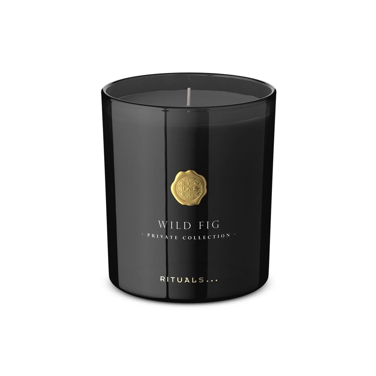 Private Collection Wild Fig Scented Candle - Candela Profumata