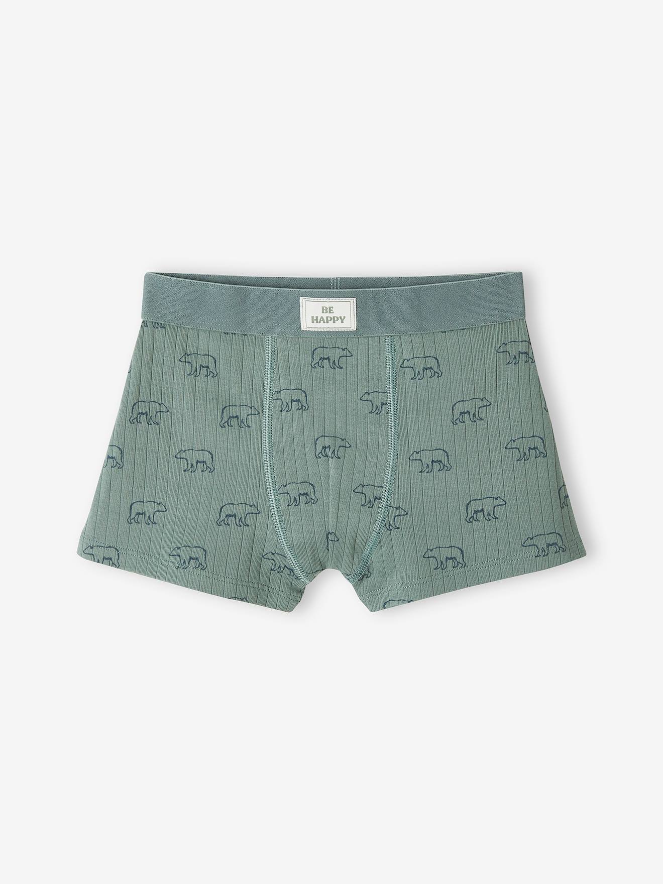 Lot de 3 boxers ours en maille côtelée garçon vert émeraude