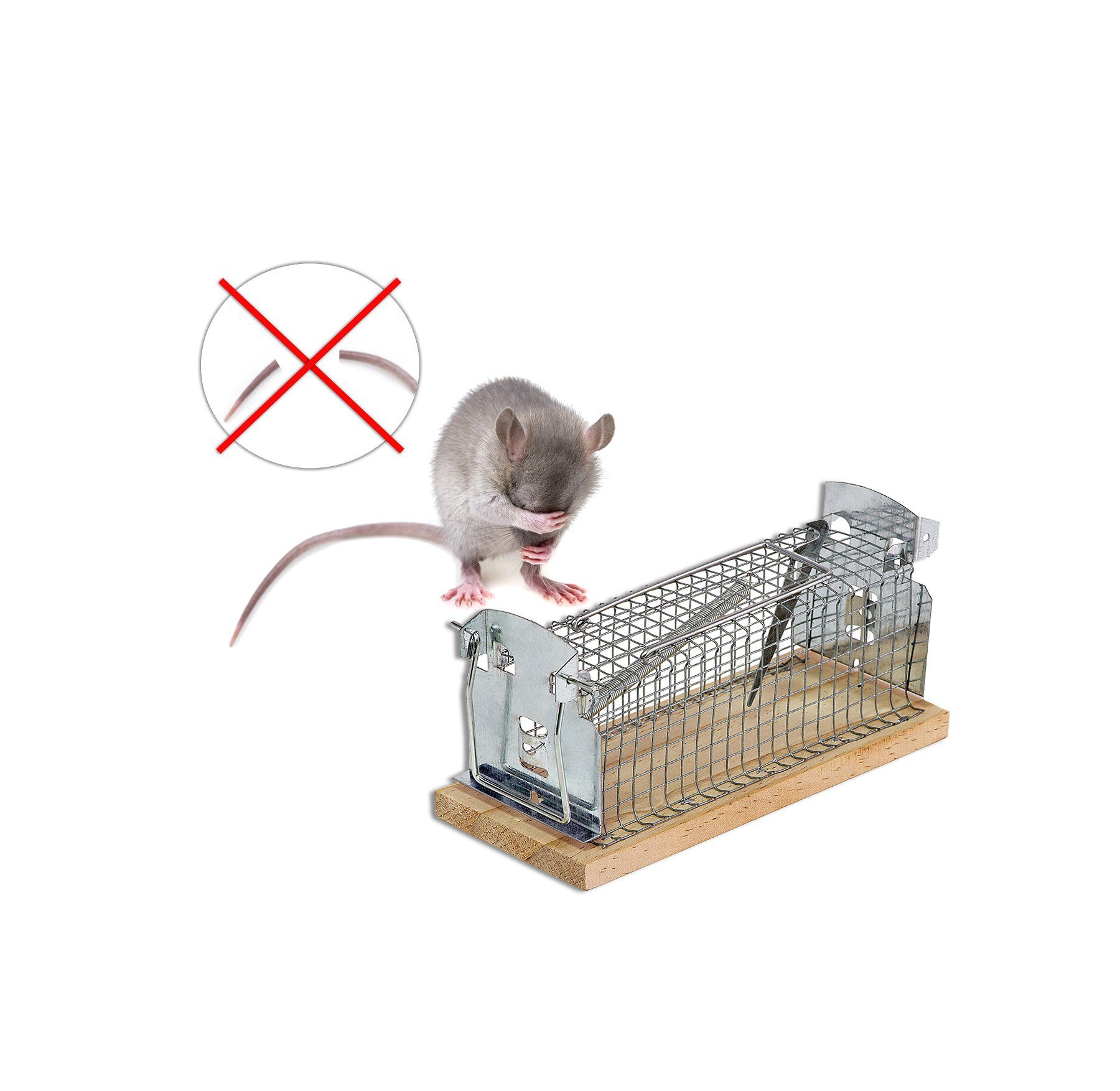 BigDean Lebendfalle Lebendfalle für Mäuse & Ratten