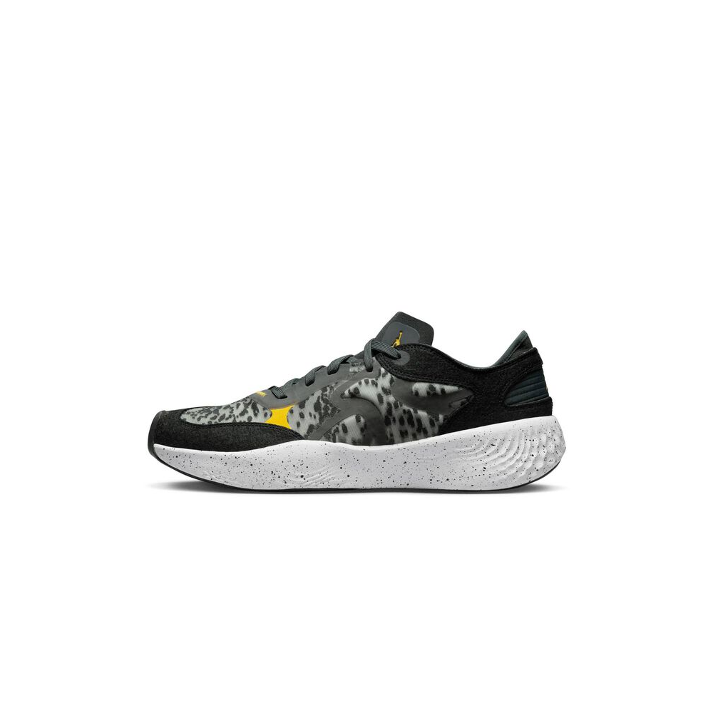 NIKE JORDAN Delta 3 Low DN2647-007 / grau