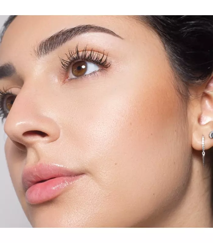 BRONZE SKIN POWDER Poudre de teint