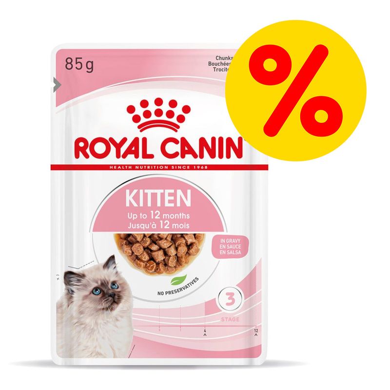 Mix-Sparpaket Royal Canin Kitten zu TOP-Preisen