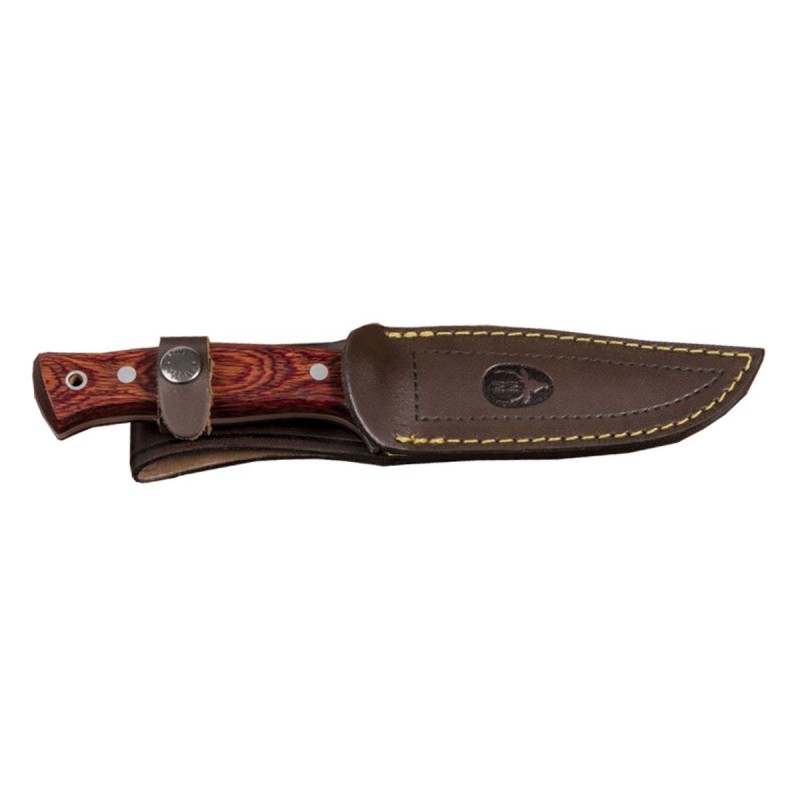 Muela POINTER 12R