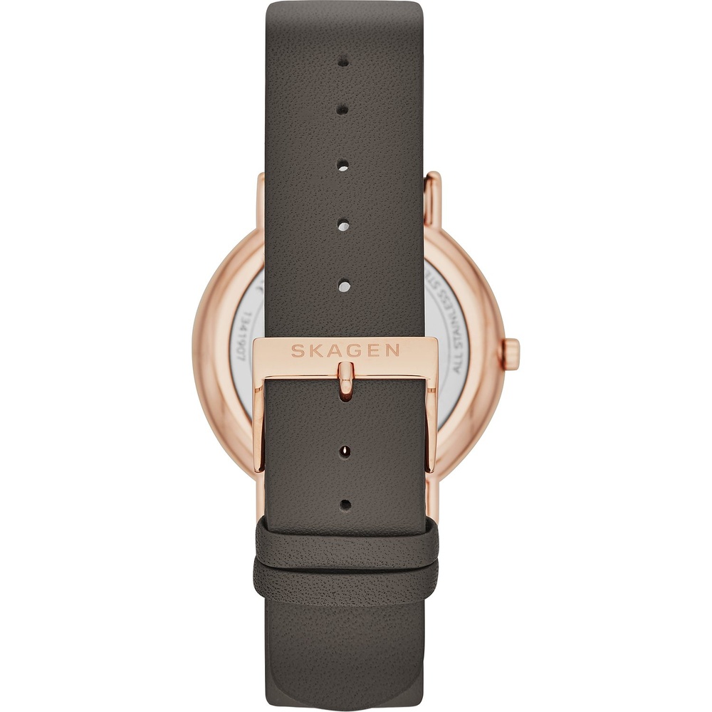 Skagen Montre pour femme Acier inoxydable Montre