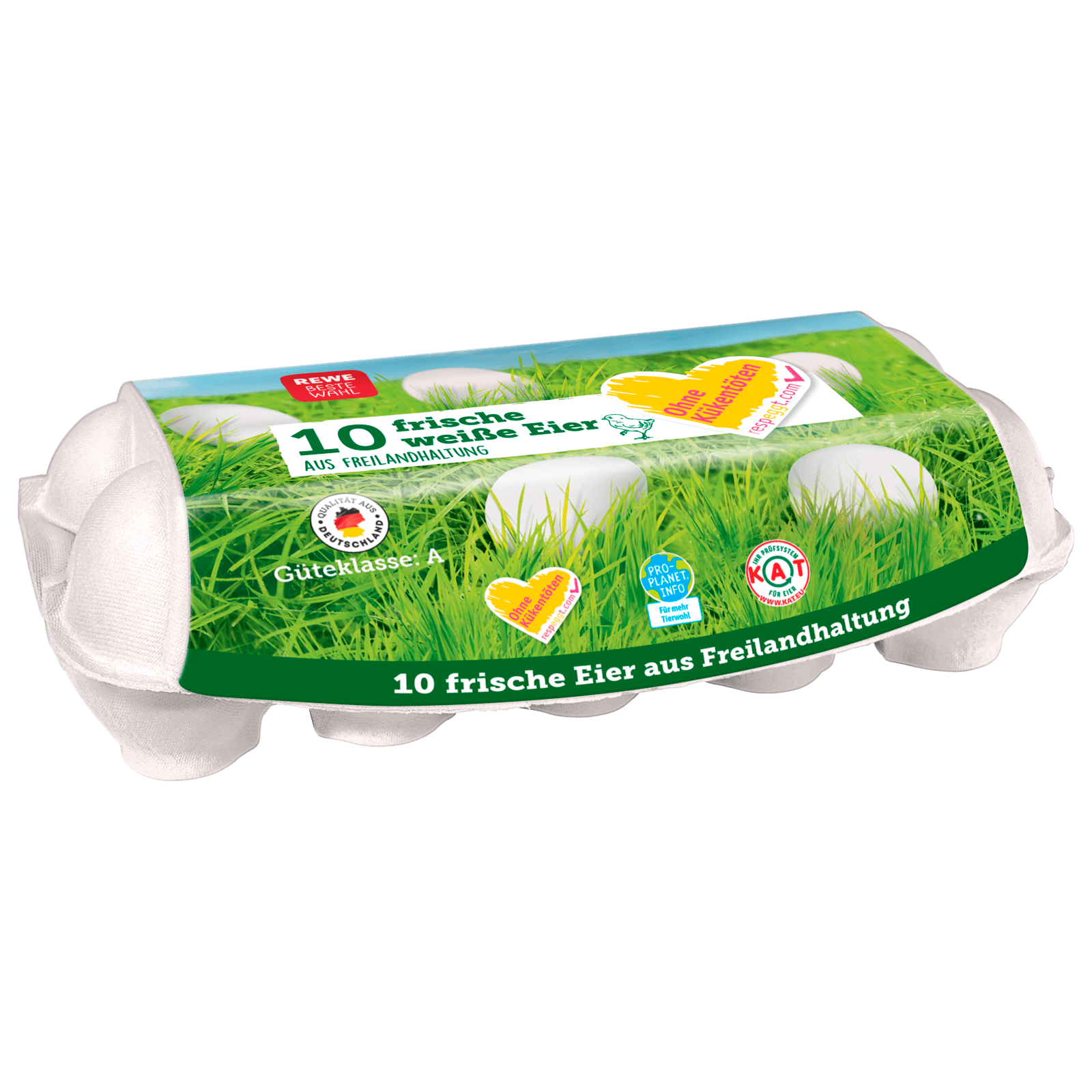 REWE Beste Wahl Respeggt Eier Freilandhaltung 10 Stück