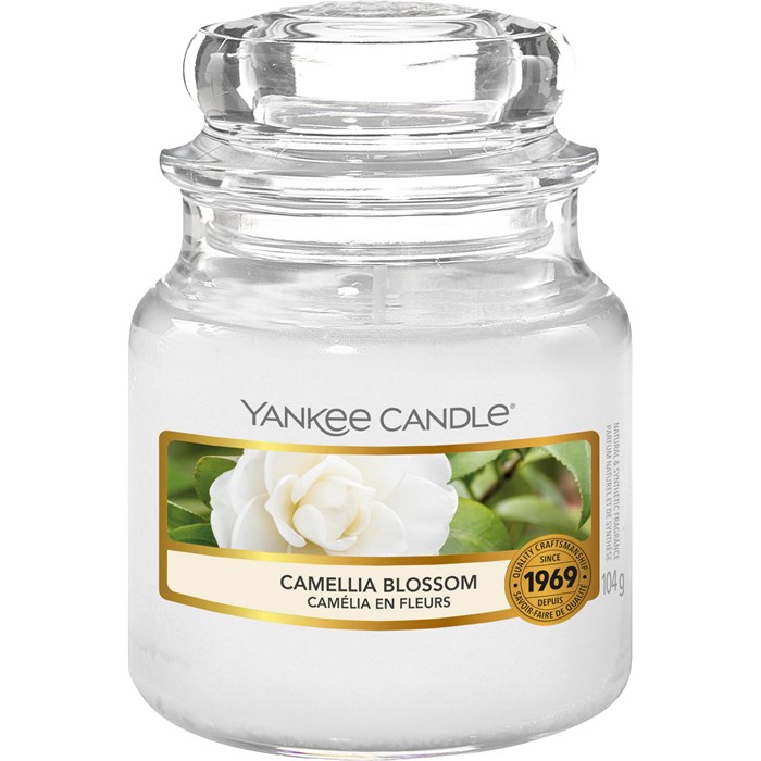 Camellia Blossom